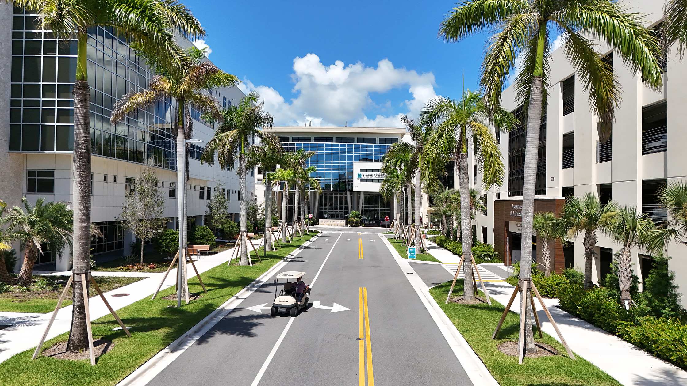 Palm-lined entry corridor ending at the hospital glass facade