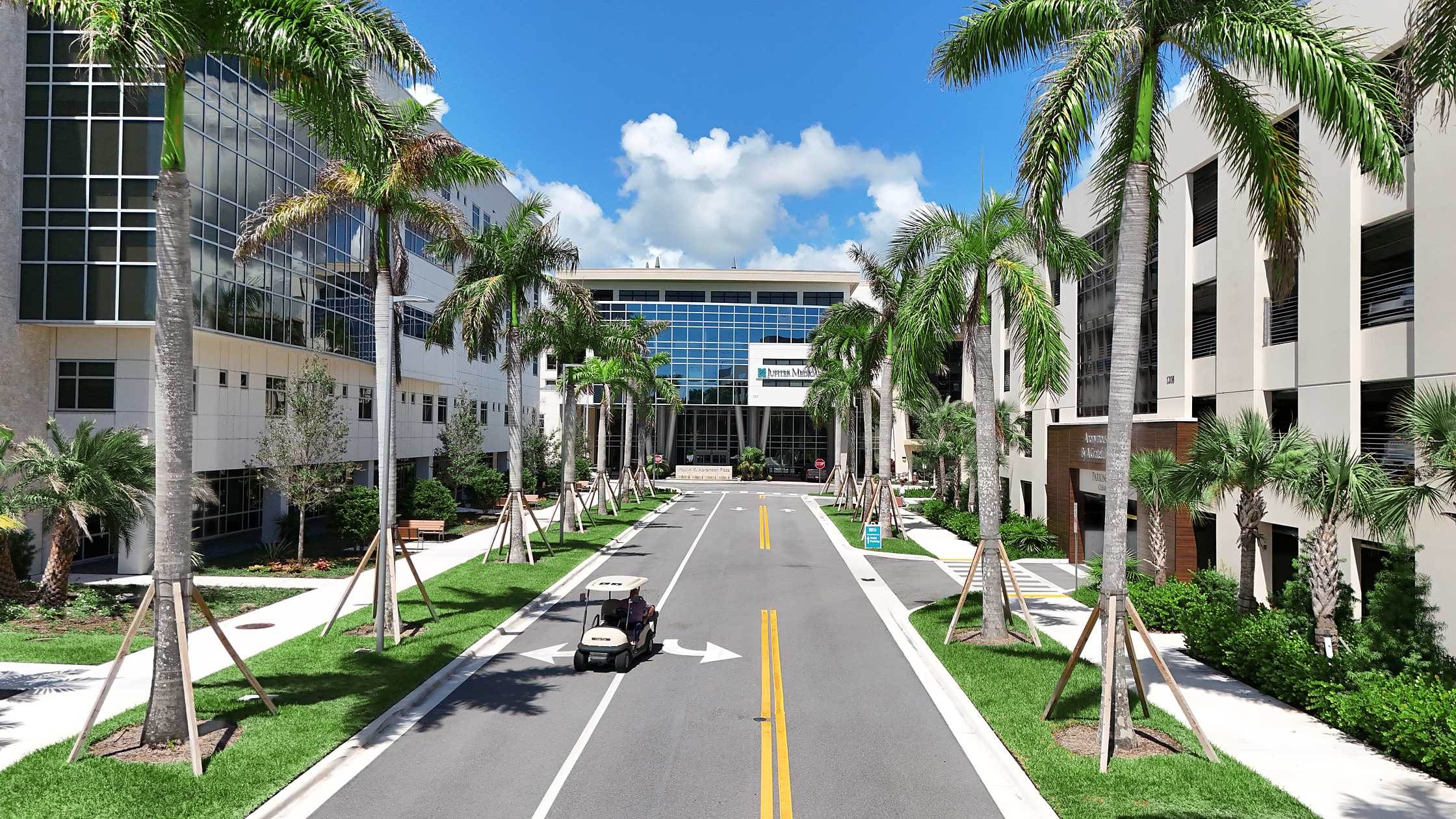 Palm-lined entry corridor ending at the hospital glass facade