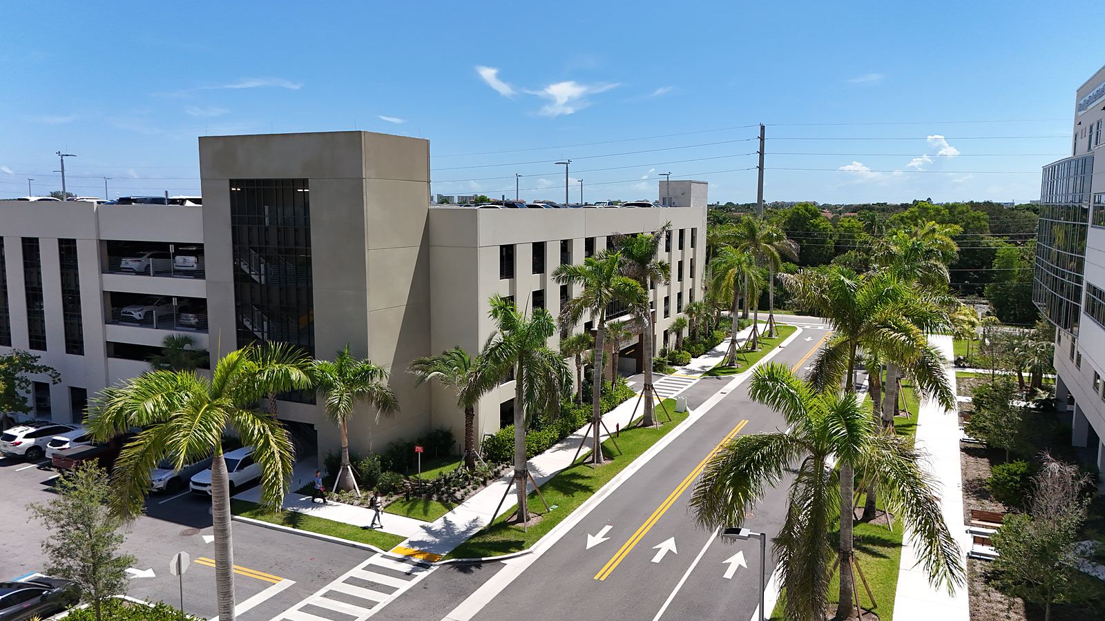 Palm streetscape along the parking garage