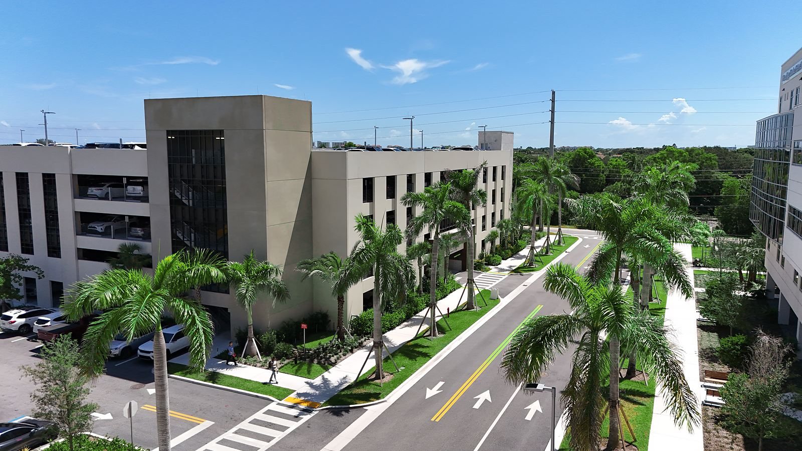 Palm streetscape along the parking garage