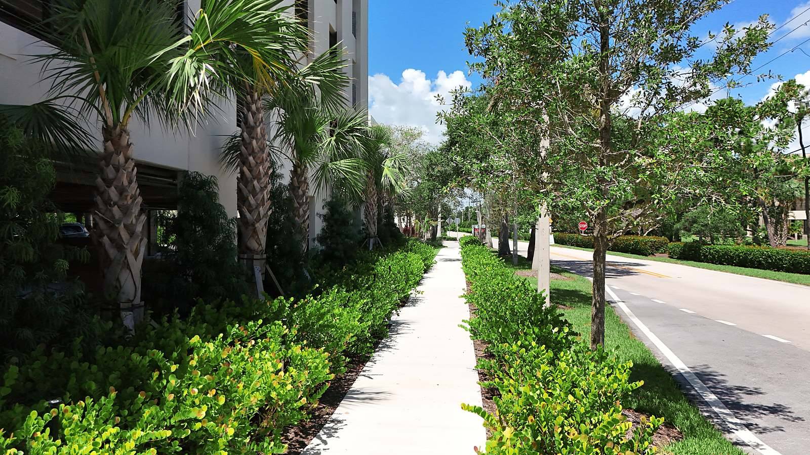Hedge and sidewalk finish detail at ground level