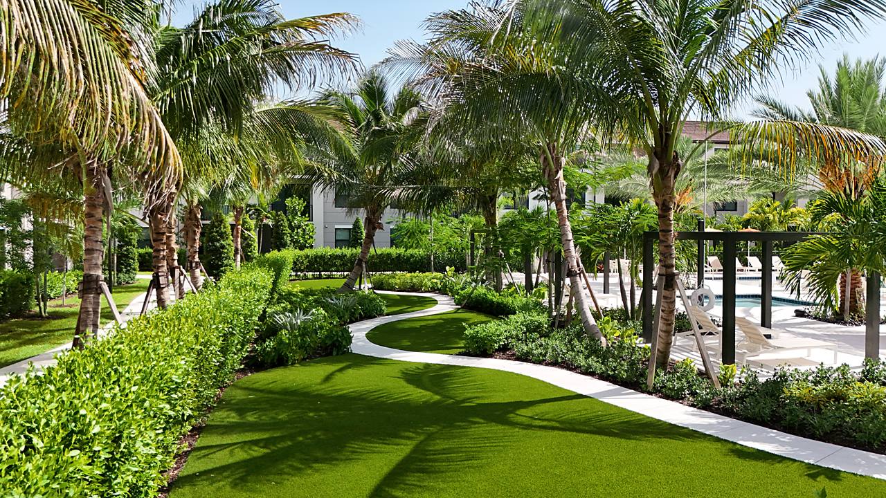 Palm-lined walking path winding through the courtyard at Mosaic Palms