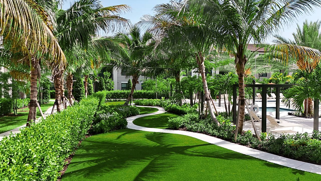 Palm-lined walking path winding through the courtyard at Mosaic Palms