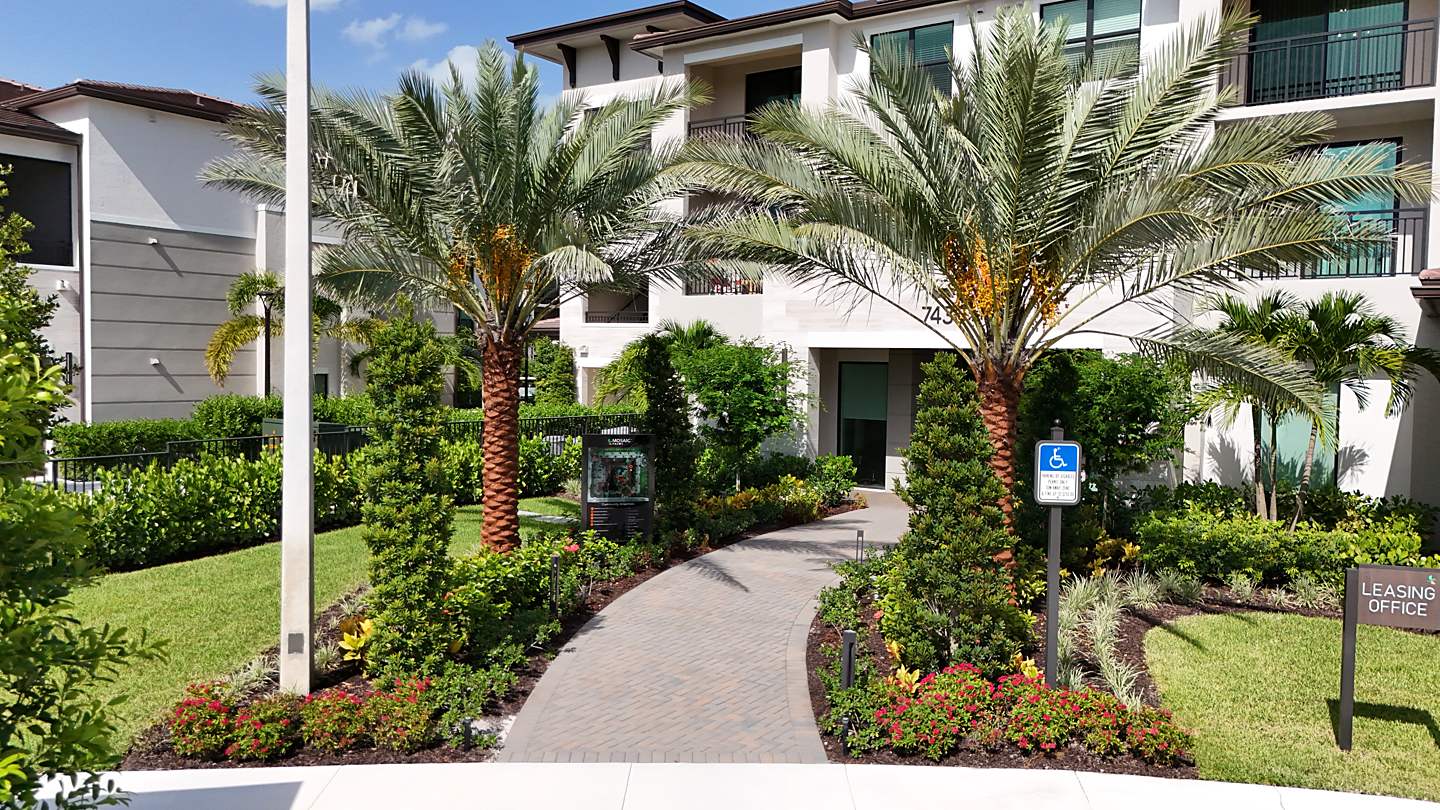 Palms and flowering beds at the Mosaic Palms leasing office entry