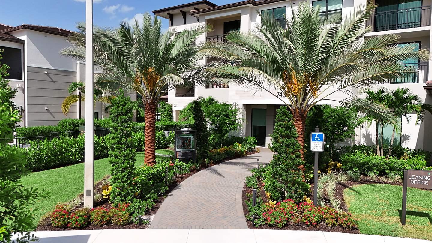 Palms and flowering beds at the Mosaic Palms leasing office entry