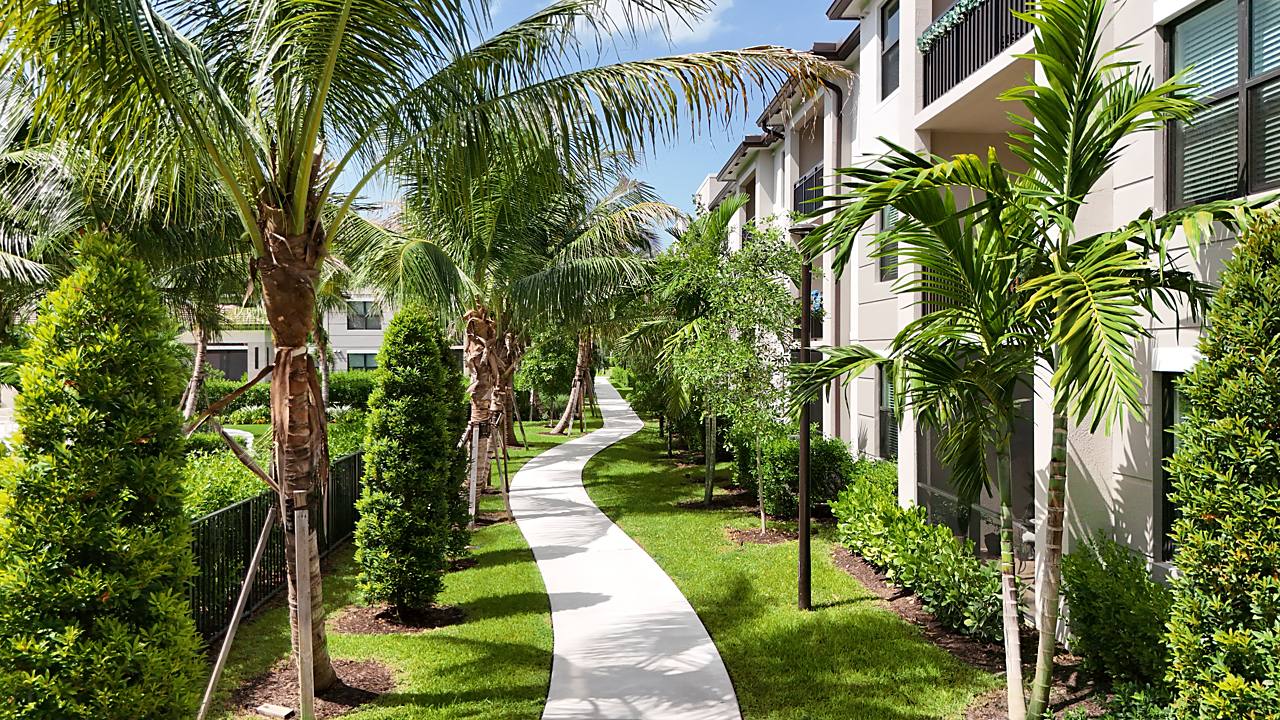 Palm rows along a resident pathway between buildings at Mosaic Palms