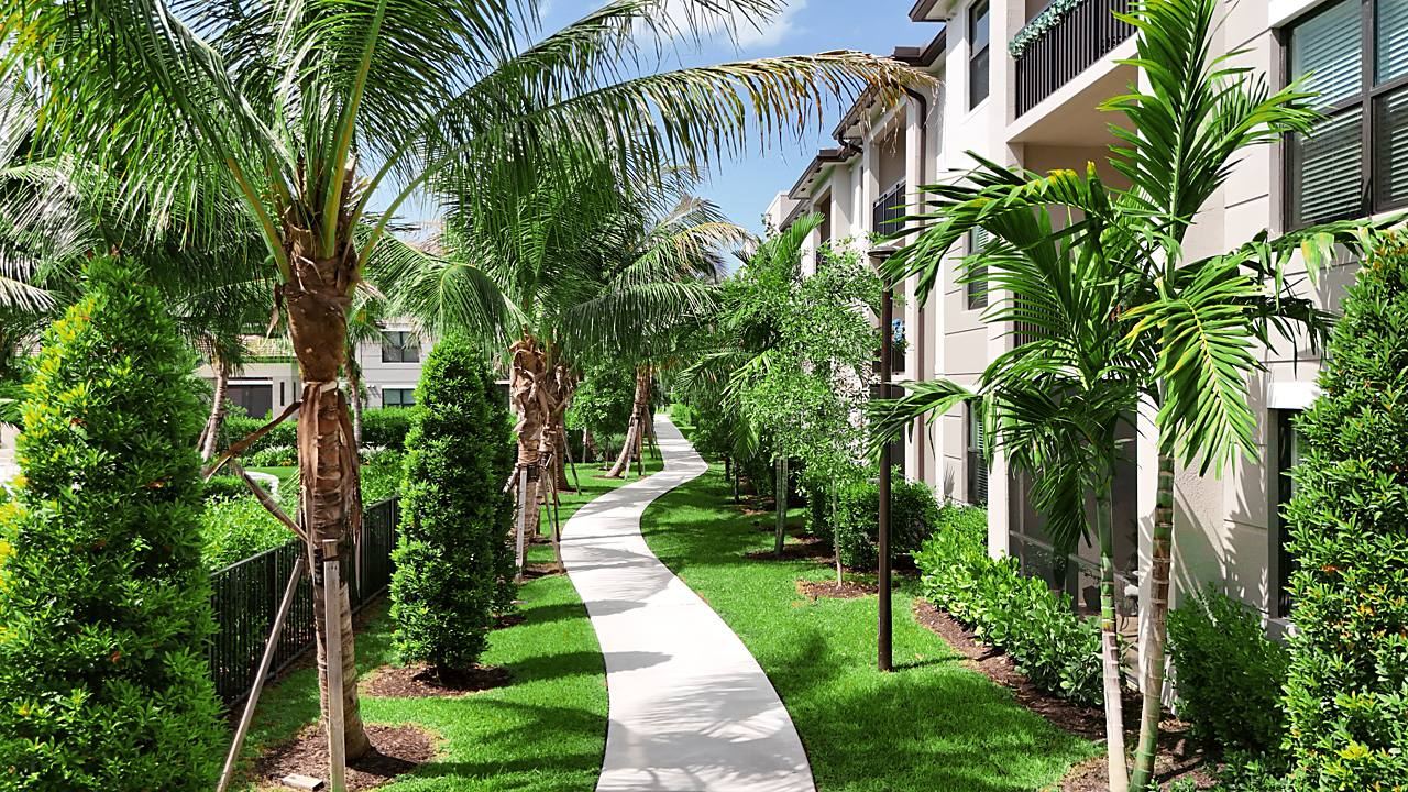 Palm rows along a resident pathway between buildings at Mosaic Palms